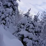 Appartement Alpenpension Maderer