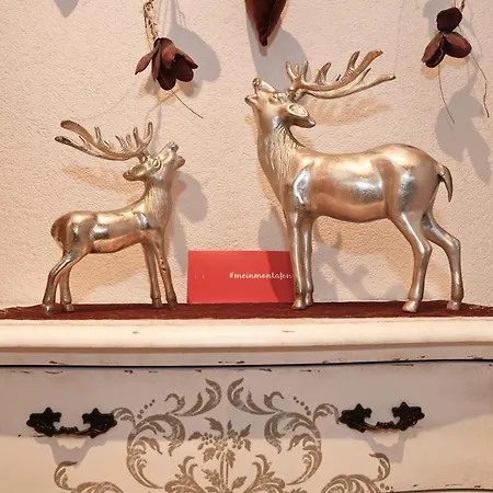 Apartment Alpenpension Maderer Gaschurn