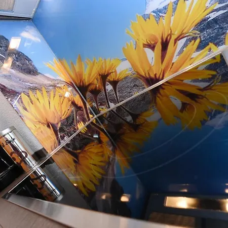 Apart Alpenpension Maderer Apartment