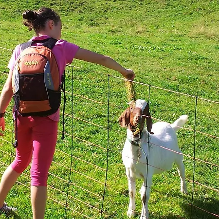 Alpenpension Maderer