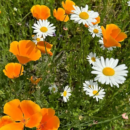 Alpenpension Maderer *