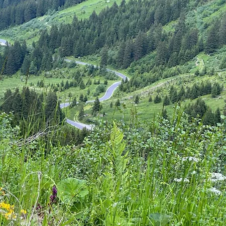 Apart Alpenpension Maderer Apartment