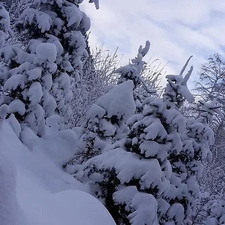 Apartman Alpenpension Maderer