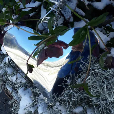 Alpenpension Maderer Apartman *